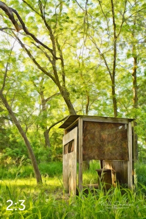 Dead Timber State Recreation Area 54538-A1