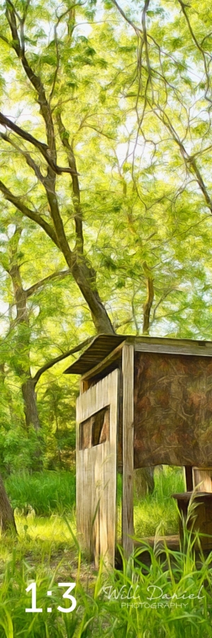 Dead Timber State Recreation Area 54538-A1