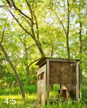 Dead Timber State Recreation Area 54538-A1