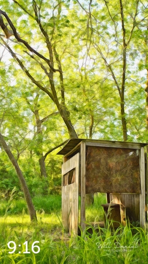 Dead Timber State Recreation Area 54538-A1