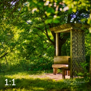 Dead Timber State Recreation Area 54557 S1