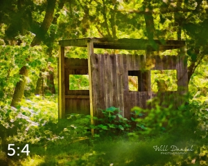 Dead Timber State Recreation Area 54571-O2