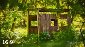 Dead Timber State Recreation Area 54571-O2