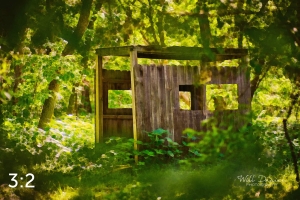 Dead Timber State Recreation Area 54571-O2