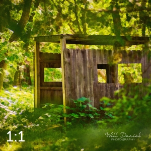 Dead Timber State Recreation Area 54571-O2