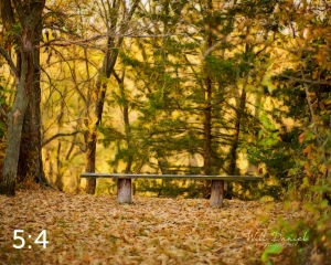 Dead Timber State Recreation Area 56399-S1