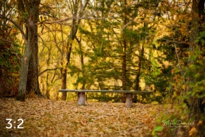 Dead Timber State Recreation Area 56399-S1