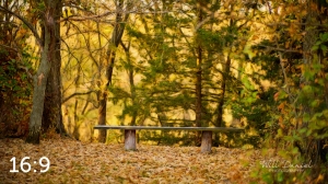 Dead Timber State Recreation Area 56399-S1