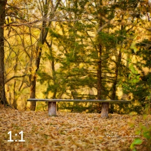 Dead Timber State Recreation Area 56399-S1