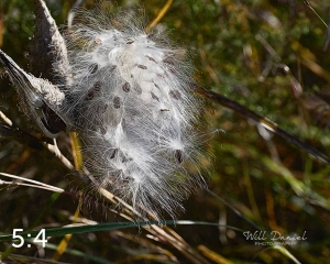 Lake Wanahoo Trail 720027-I2