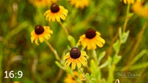 Lake Wanahoo Trail 720724-I2