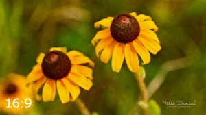 Lake Wanahoo Trail 720732-S1