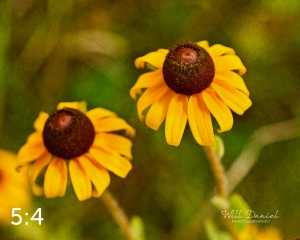 Lake Wanahoo Trail 720732-S1