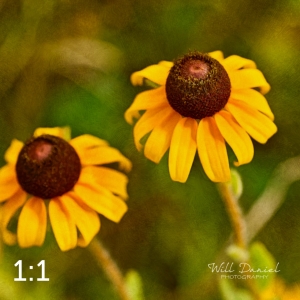 Lake Wanahoo Trail 720732-S1