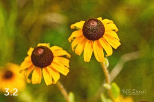 Lake Wanahoo Trail 720732-S6