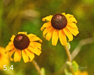 Lake Wanahoo Trail 720732-S6