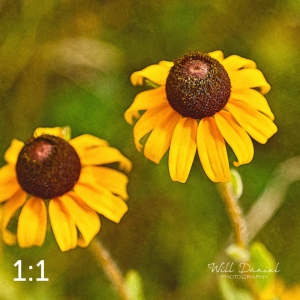 Lake Wanahoo Trail 720732-S6