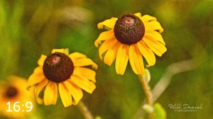 Lake Wanahoo Trail 720732-S6