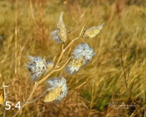 Lake Wanahoo Trail 721692-O4