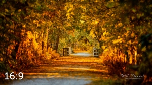 MoPac East Trail 56034-S1