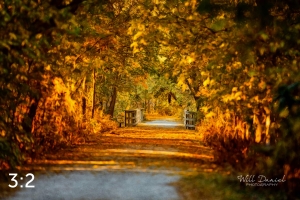 MoPac East Trail 56034-S1