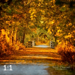 MoPac East Trail 56034-S1