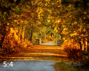 MoPac East Trail 56034-S1