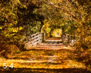 MoPac East Trail 56259-S3A