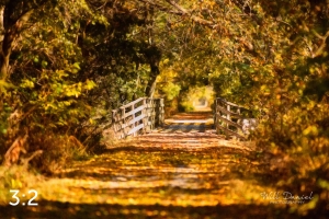 MoPac East Trail 56259-S3A