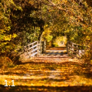 MoPac East Trail 56259-S3A