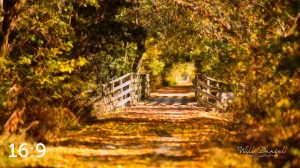 MoPac East Trail 56259-S3A