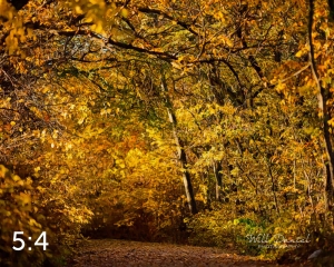 MoPac East Trail 56903-G2