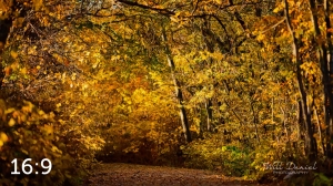 MoPac East Trail 56903-G2