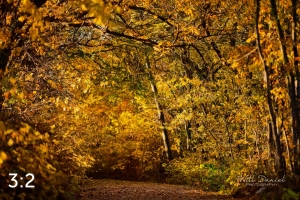 MoPac East Trail 56903-G2