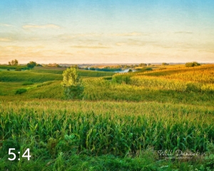 Oak Creek Trail 55517-O4