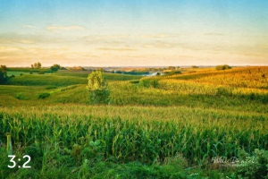 Oak Creek Trail 55517-O4