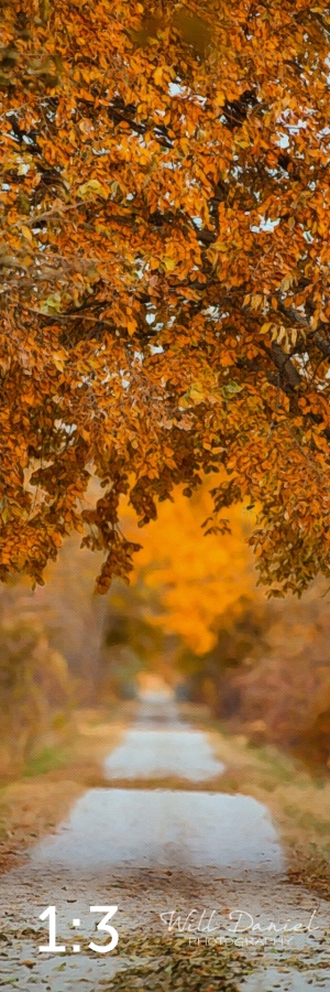 Oak Creek Trail 56594-G2