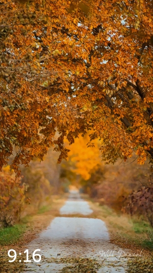 Oak Creek Trail 56594-G2