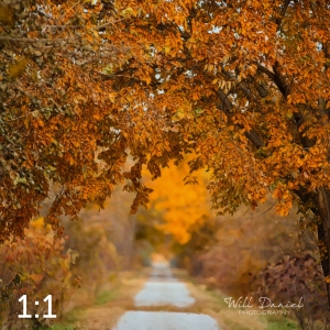 Oak Creek Trail 56594-G2