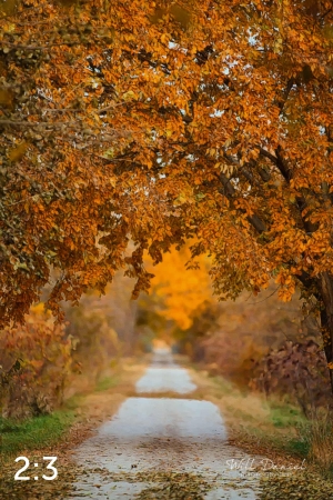 Oak Creek Trail 56594-G2