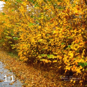 Oak Creek Trail 56686-O4