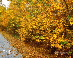 Oak Creek Trail 56686-O4