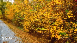 Oak Creek Trail 56686-O4