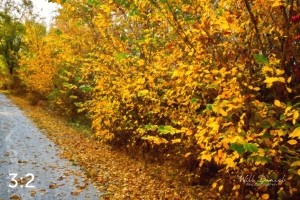 Oak Creek Trail 56686-O4