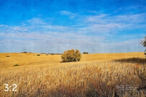 Oak Creek Trail 56699-I2