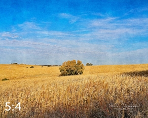 Oak Creek Trail 56699-I2