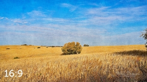 Oak Creek Trail 56699-I2