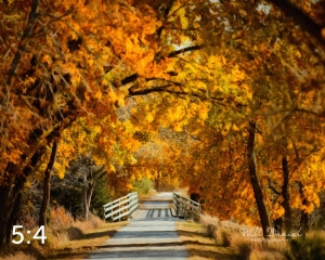 Oak Creek Trail 56742-S2