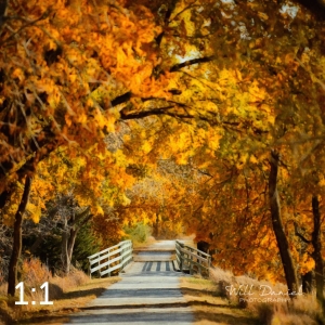 Oak Creek Trail 56742-S2