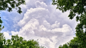 Wahoo Trail 712706-O4